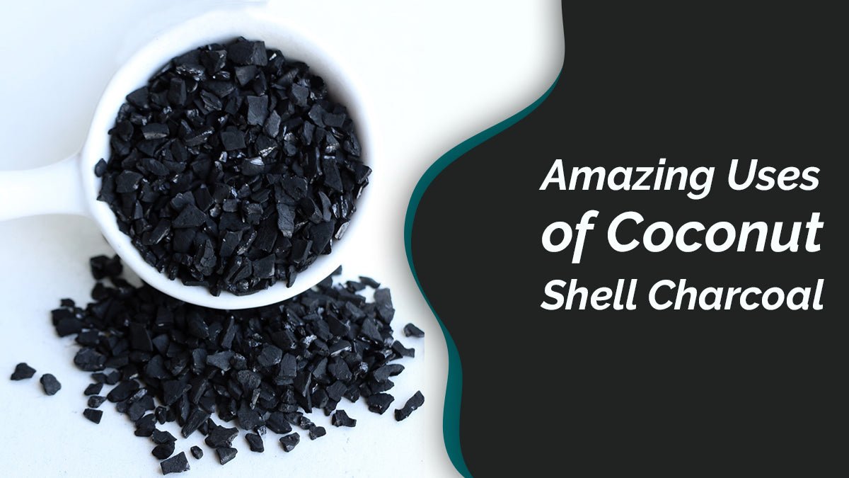 Amazing Uses Of Coconut Shell Charcoal - Carbon Bulk Sales