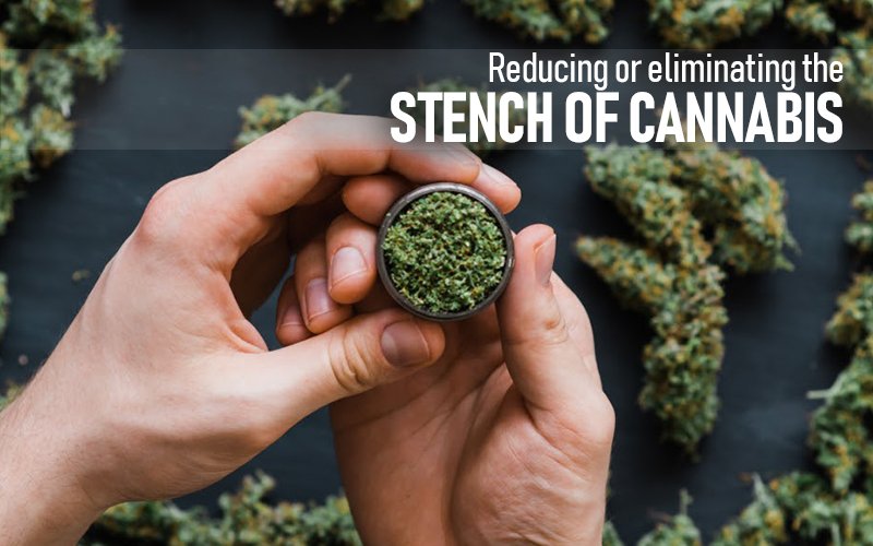 Reducing Or Eliminating The Stench Of Cannabis - Carbon Bulk Sales