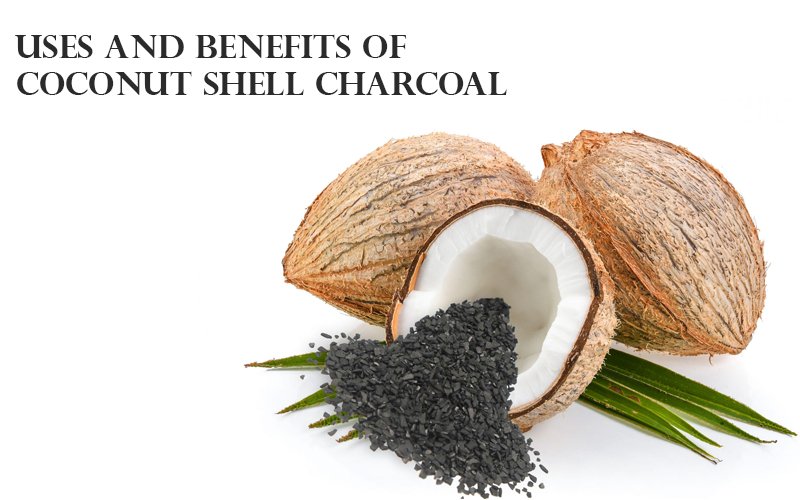 Uses and Benefits of Coconut Shell Charcoal - Carbon Bulk Sales